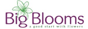Big Blooms Florist