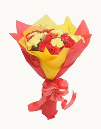 Bouquet of 20 Yellow Red Carnations