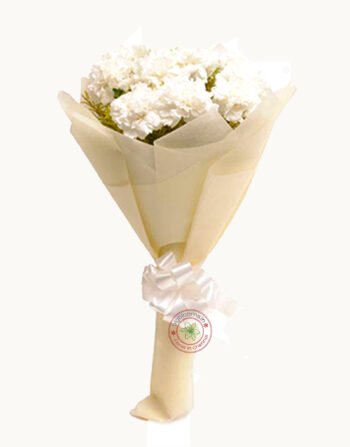Bouquet of 10 White carneson with fillers in nice wrapping