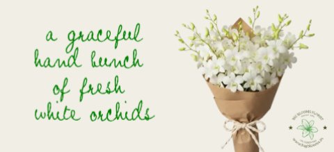 florist, flowers, flower delivery, lorist near me. flowers near me. flower, shop near me, flower shop, send flowers, funeral flowers, same day flower delivery, mothers day flowers, flower delivery near me, flower arrangements, wedding flowers, order flowers online next day delivery flowers, flowers online, green flowers, send flowers online, floral arrangements, the flower shop, online flower delivery